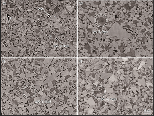 The effect of vacuum pretreatment sintering process on tungsten carbide